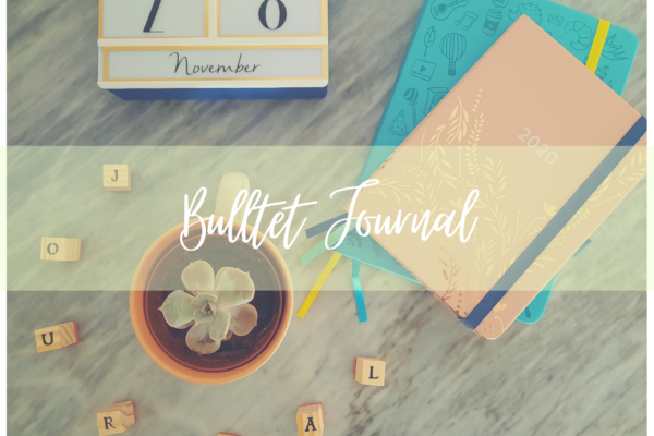 Bullet Journal 2021 setup